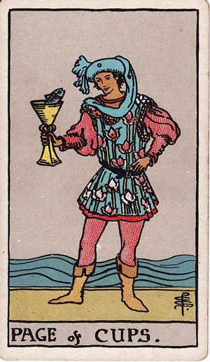 컵 페이지 타로 카드 (Page of Cups)