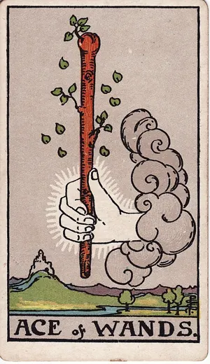 완드 에이스 타로 카드 (Ace of Wands)